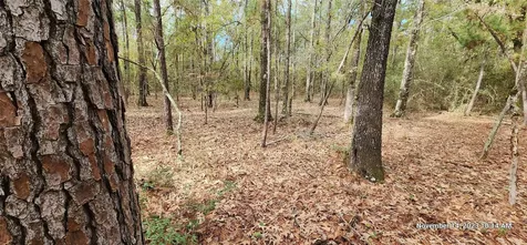 Tbd Zed Creek Road Lufkin TX 75904