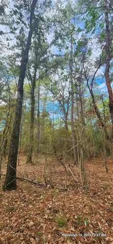 Tbd Zed Creek Road Lufkin TX 75904