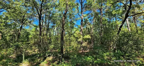 Tbd Zed Creek Road Lufkin TX 75904