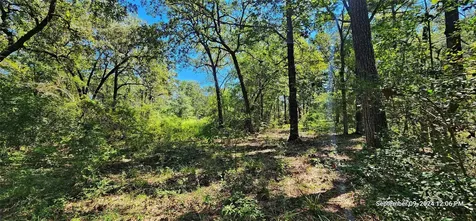 Tbd Zed Creek Road Lufkin TX 75904