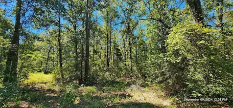 Tbd Zed Creek Road Lufkin TX 75904