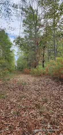 Tbd Zed Creek Road Lufkin TX 75904