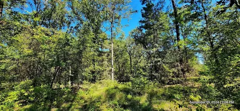 Tbd Zed Creek Road Lufkin TX 75904