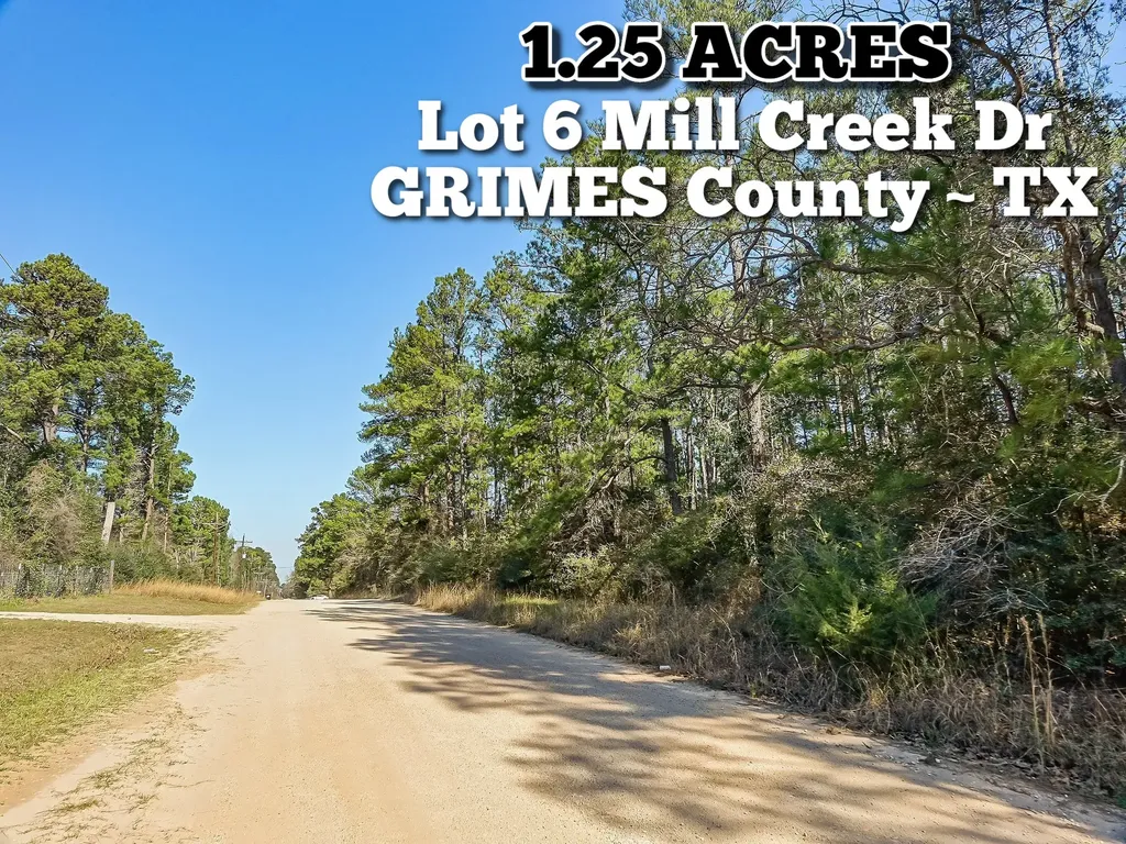 13167 Mill Creek Drive N Plantersville TX 77363