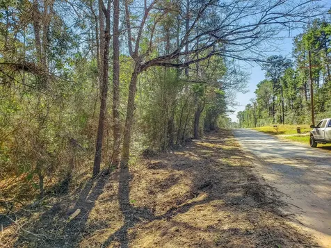 13167 Mill Creek Drive N Plantersville TX 77363