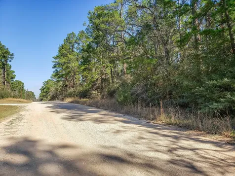 13167 Mill Creek Drive N Plantersville TX 77363
