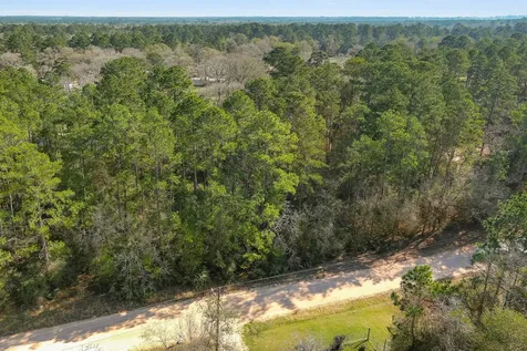 13167 Mill Creek Drive N Plantersville TX 77363