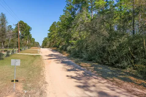 13167 Mill Creek Drive N Plantersville TX 77363