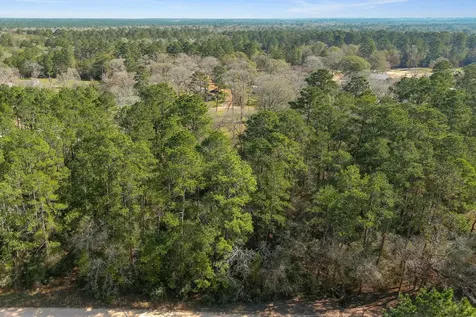 13167 Mill Creek Drive N Plantersville TX 77363