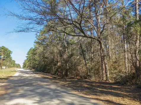 13167 Mill Creek Drive N Plantersville TX 77363