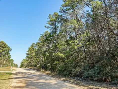 13167 Mill Creek Drive N Plantersville TX 77363