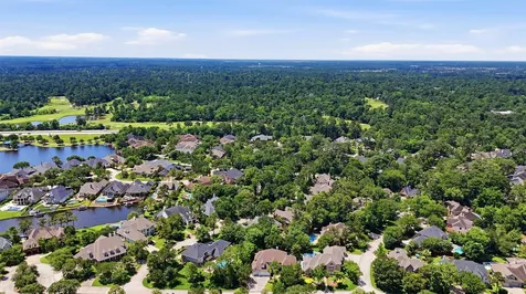 26 Pleasure Cove Drive Spring TX 77381