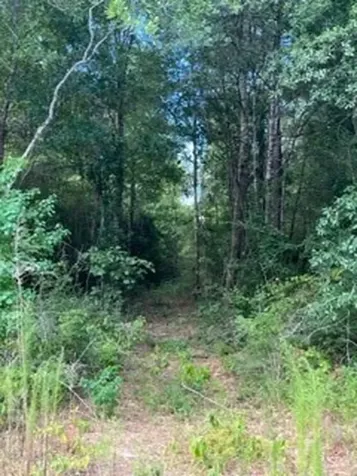 69 Tranquil Lane Huntsville TX 77340