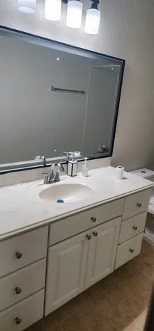13230 Skyview Green Drive Houston TX 77047