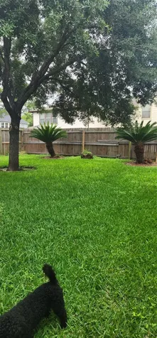 13230 Skyview Green Drive Houston TX 77047
