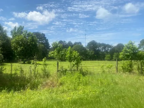 0 County Road 2271 Cleveland TX 77327