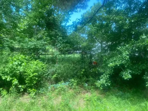 0 County Road 2271 Cleveland TX 77327