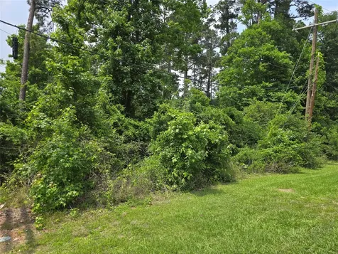 TBD - LOT 96 Indian Creek Drive Panorama Village TX 77304
