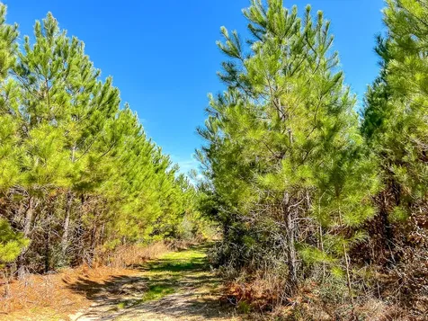 0 County Road 4415 Spurger TX 77660