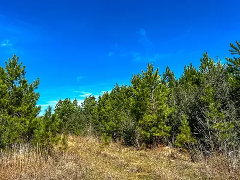0 County Road 4415 Spurger TX 77660