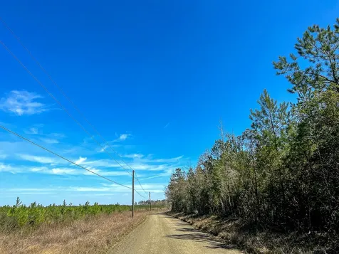 0 County Road 4415 Spurger TX 77660