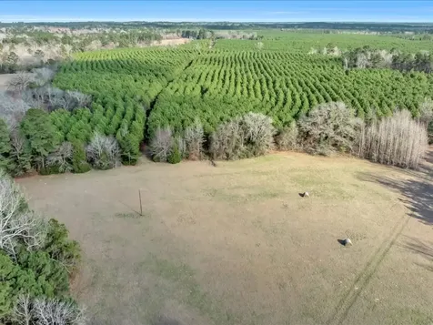 2611 County Road 789 Douglass TX 75943