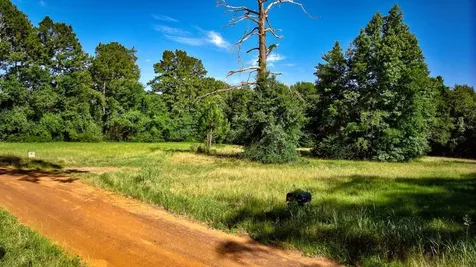 2611 County Road 789 Douglass TX 75943