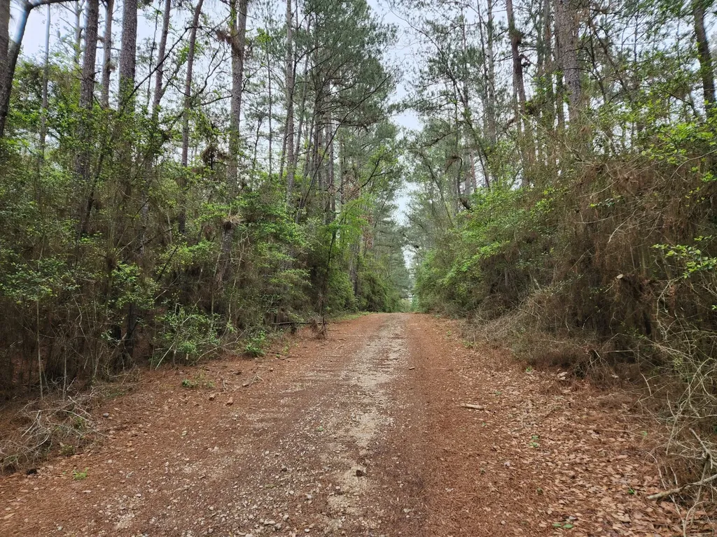 Lot 25 North Council Drive Hempstead TX 77445