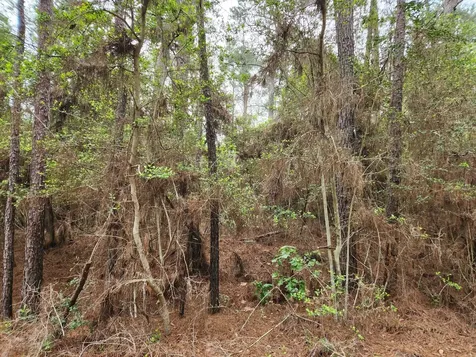 Lot 25 North Council Drive Hempstead TX 77445