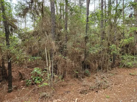 Lot 25 North Council Drive Hempstead TX 77445