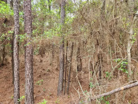 Lot 25 North Council Drive Hempstead TX 77445