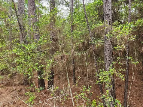 Lot 25 North Council Drive Hempstead TX 77445
