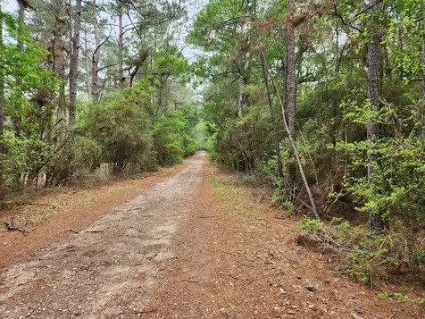 Lot 25 North Council Drive Hempstead TX 77445