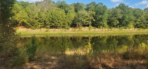 Lot 25 North Council Drive Hempstead TX 77445