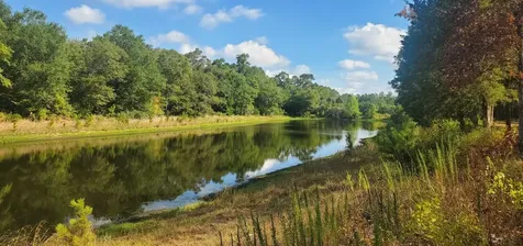 Lot 25 North Council Drive Hempstead TX 77445