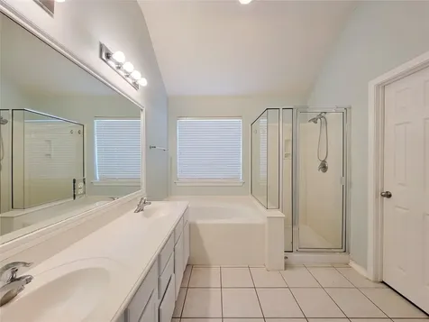 21722 Dimmett Way Spring TX 77388