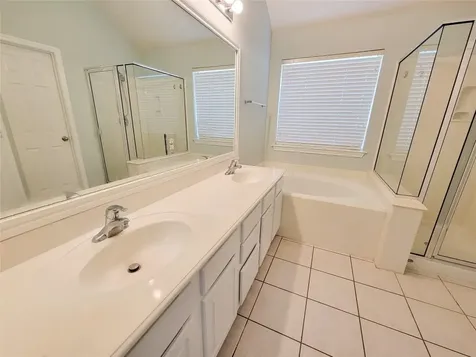 21722 Dimmett Way Spring TX 77388
