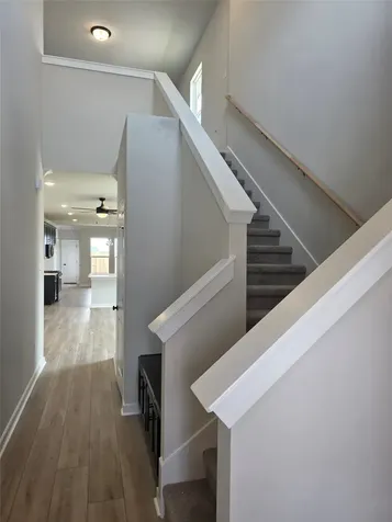 21127 Autumn Heights Rosharon TX 77583