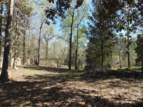 426 Driftwood Drive Goodrich TX 77335