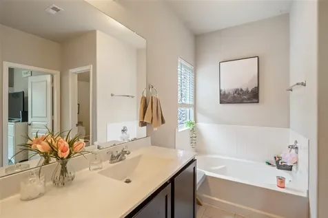 21264 Flowering Crape Myrtle Drive Porter TX 77365