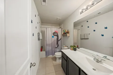 21264 Flowering Crape Myrtle Drive Porter TX 77365