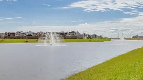 26706 Dalmatian Bellflower Drive Katy TX 77493