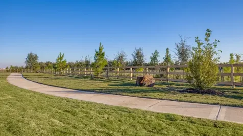 26706 Dalmatian Bellflower Drive Katy TX 77493