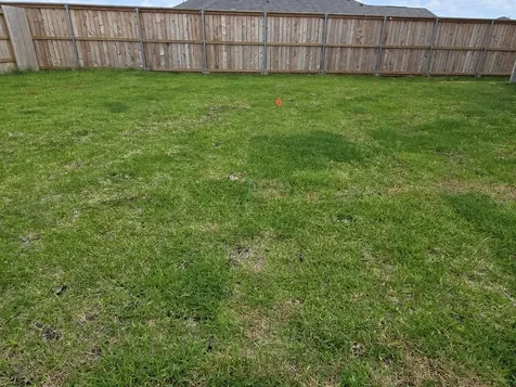 26706 Dalmatian Bellflower Drive Katy TX 77493