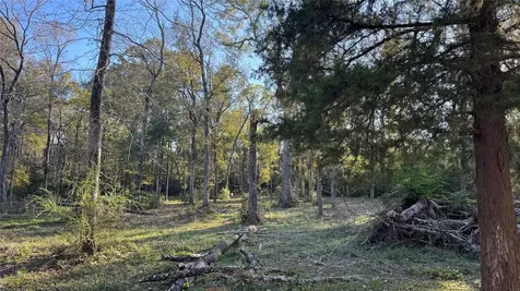 120 Eagle Creek Drive Cleveland TX 77328