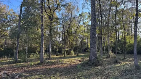 120 Eagle Creek Drive Cleveland TX 77328