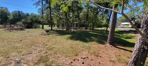 00 Palmetto Drive Livingston TX 77351