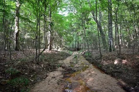 Tbd Co Road 2150 Woodville TX 75979