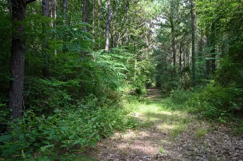 Tbd Co Road 2150 Woodville TX 75979