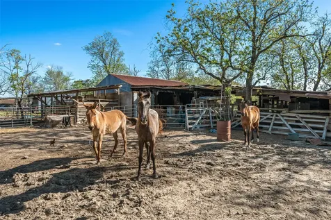 1227 Avenue L Santa Fe TX 77510